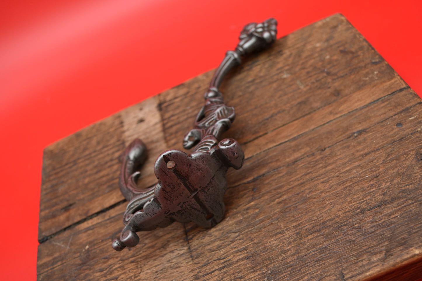 Serpent Hat & Coat Hook