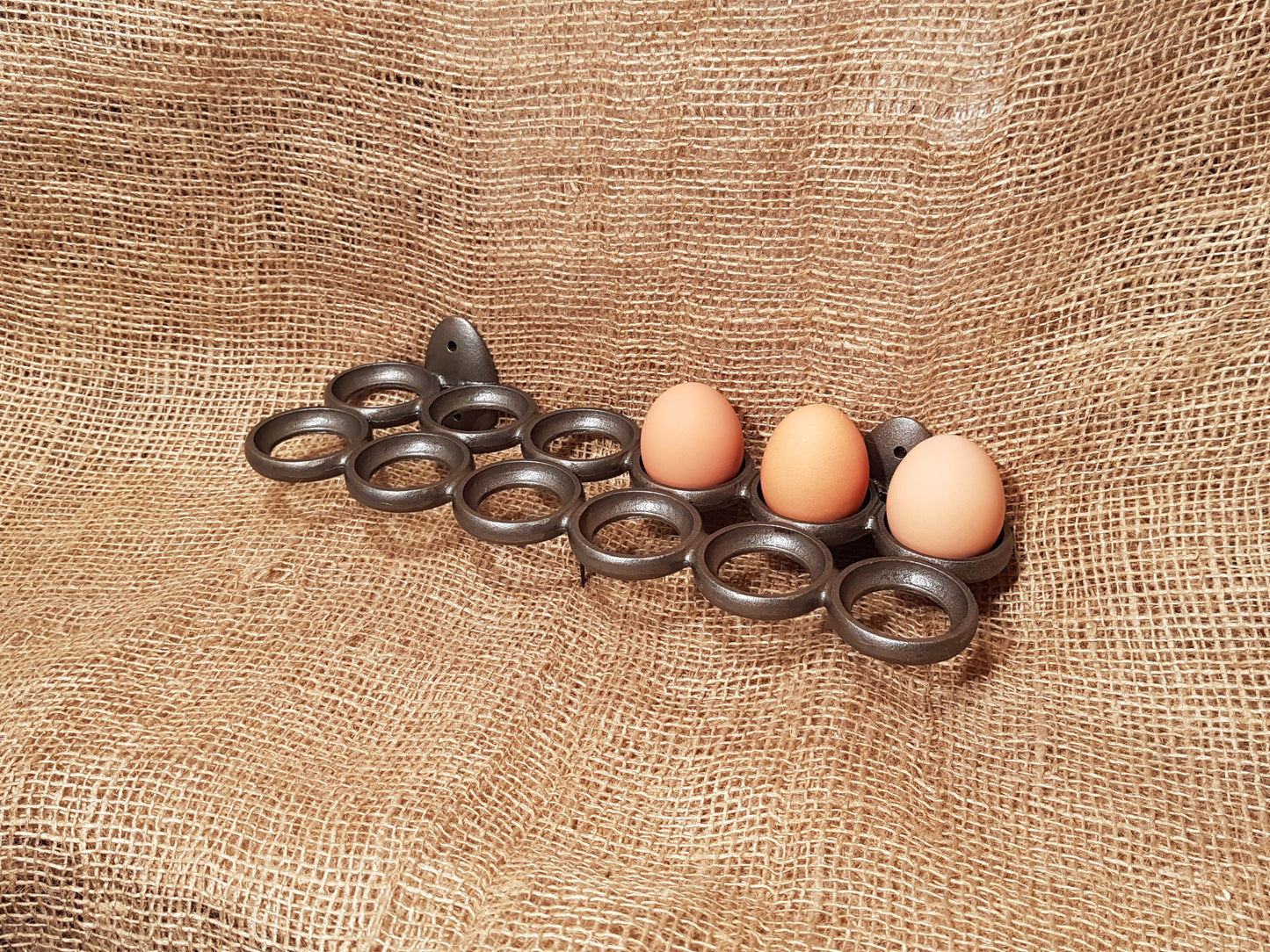 Eggs Holder Tray
