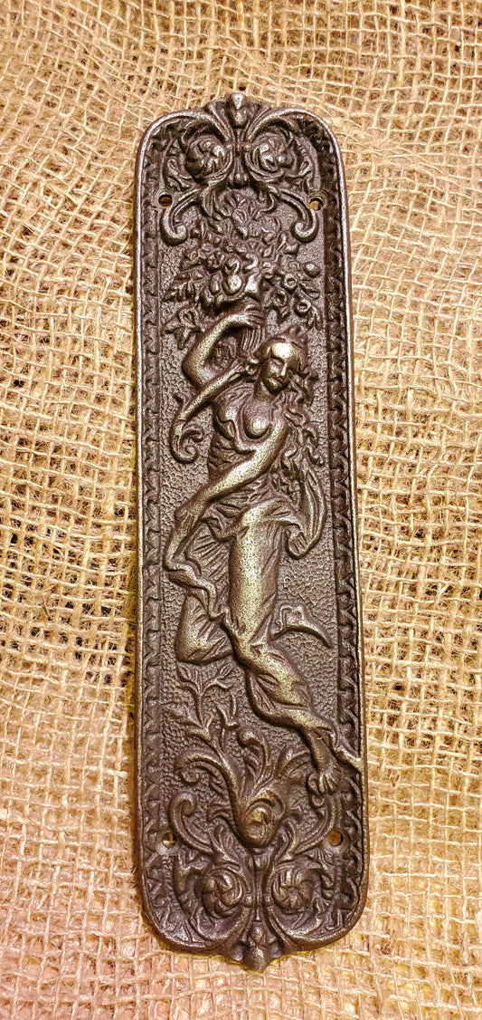 Door Push Plate - Figurine