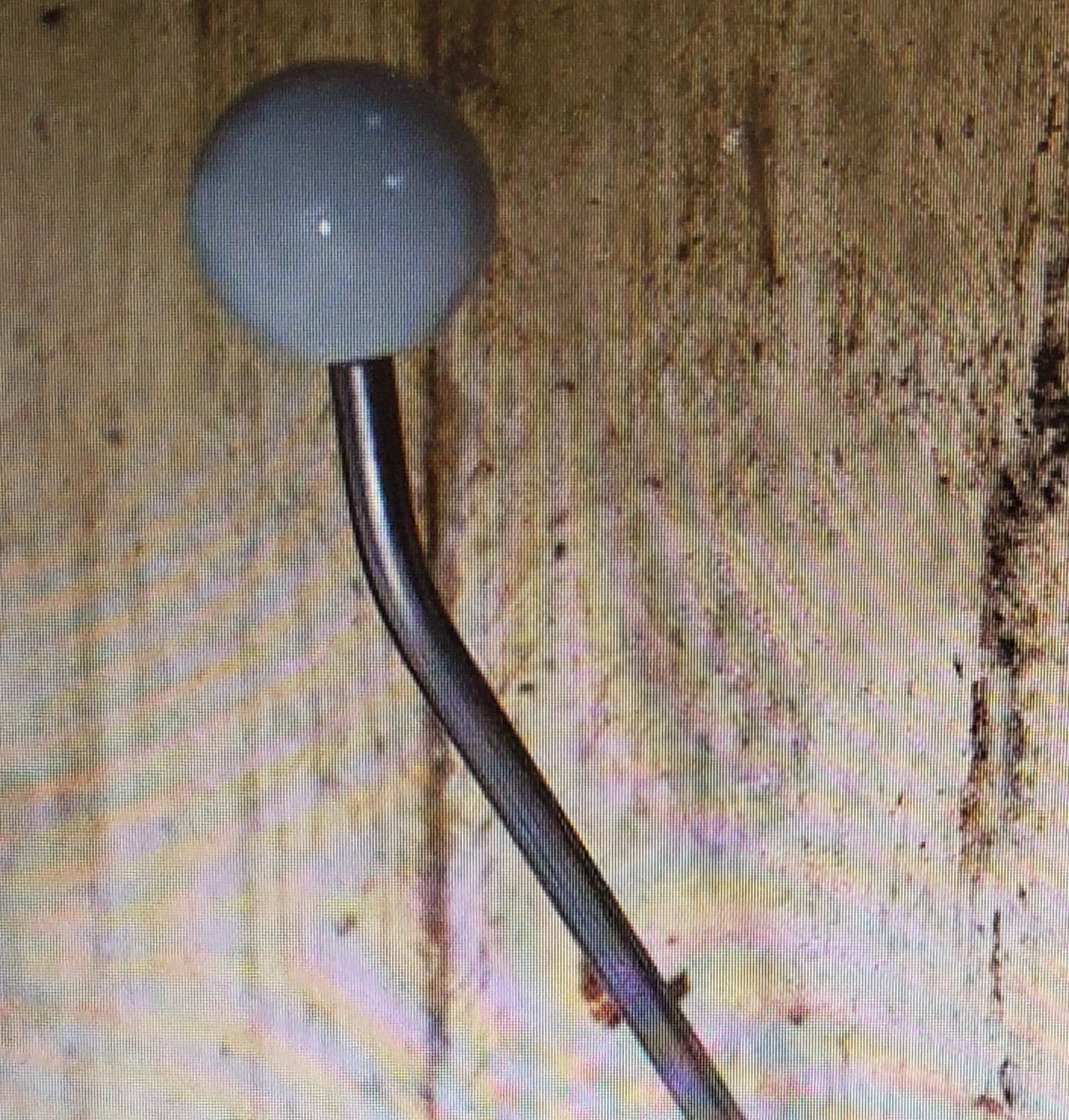 Rosette Ball End Hat & Coat Hook -Multiple Colors